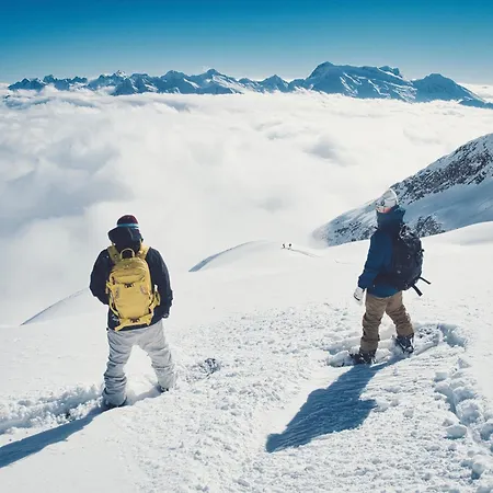 Allegra Al0 贝拉尔普